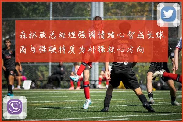 森林狼总经理强调情绪心智成长球商与强硬特质为补强核心方向