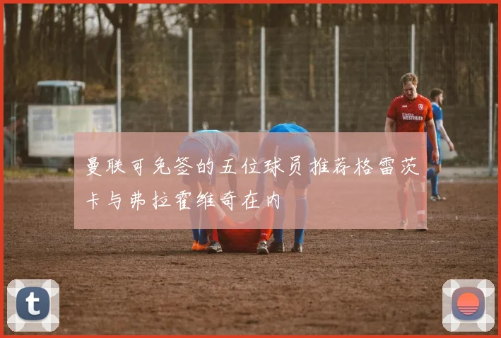 曼联可免签的五位球员推荐格雷茨卡与弗拉霍维奇在内