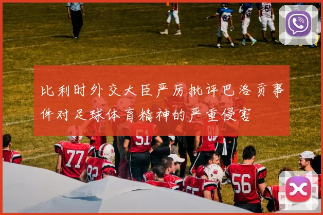 比利时外交大臣严厉批评巴洛贡事件对足球体育精神的严重侵害